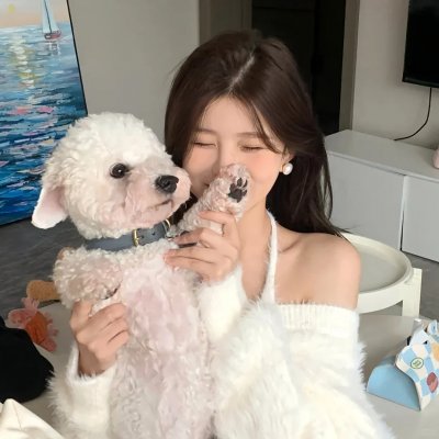 你的太阳